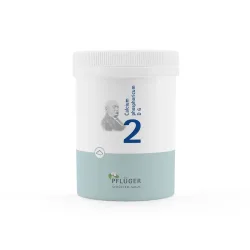 Schüßler-Salz Nr. 2 Calcium phosphoricum D6 250 g Pulver