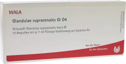 Glandulae suprarenales Gl D4 Ampullen 10X1 ml Ampullen