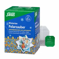 Salus Wintertee Polarzauber 15 St Filterbeutel