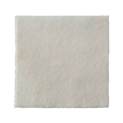 BIATAIN Alginate Ag Kompressen 5x5 cm mit Silber 10 St Verband