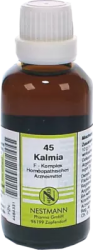 KALMIA F Komplex Nr.45 Dilution 50 ml Dilution