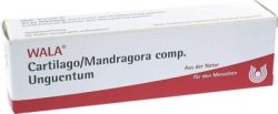 WALA Cartilago/Mandragora comp., Unguentum 30 g Salbe