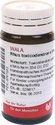 Rhus toxicodendron e foliis D 12 Globuli 20 g Globuli