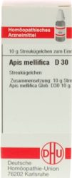 APIS MELLIFICA D 30 Globuli 10 g Globuli