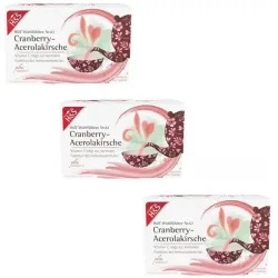 H&S Wohlfühltee Cranberry-Acerolakirsche mit Vitamin C 3er Set 3X20X2,8 g Filterbeutel