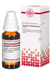SYZYGIUM JAMBOLANUM Urtinktur D 1 20 ml Dilution