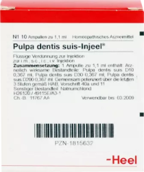 PULPA DENTIS SUIS Injeel Ampullen 10 St Ampullen