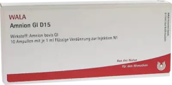 Amnion Gl D15 Ampullen 10X1 ml Ampullen
