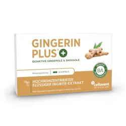 GINGERIN PLUS 60 St Kapseln