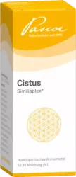 CISTUS SIMILIAPLEX