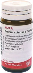 Prunus spinosa e floribus et summitatibus D3 Globuli 20 g Globuli