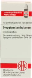 SYZYGIUM JAMBOLANUM D 6 Globuli 10 g Globuli