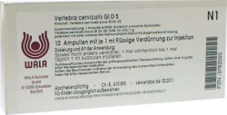 Vertebra cervicalis Gl D5  Ampullen 10X1 ml Ampullen