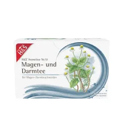 H&S Arzneitee Magen- und Darmtee 20X2.0 g Filterbeutel