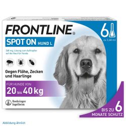 FRONTLINE SPOT-ON für Hunde L (20-40 kg) gegen Zecken, Flöhe und Haarlinge 6 St Lösung