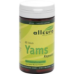 YAMS Kapseln 250 mg Yamspulver 60 St Kapseln