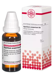 SPARTIUM SCOPARIUM D 4 Dilution 20 ml Dilution