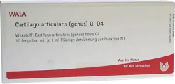 Cartilago articularis genus GL D4 10X1 ml Ampullen