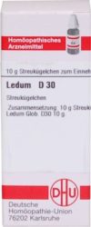 LEDUM D 30 Globuli 10 g Globuli