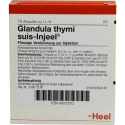 GLANDULA THYMI suis Injeel Ampullen 10 St Ampullen