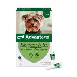 ADVANTAGE 40 HUND 4 St Lösung