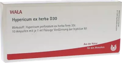 Hypericum ex herba D30 Ampullen  10X1 ml Ampullen