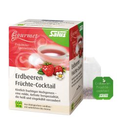 Salus ERDBEEREN Früchtecocktail 15 St Filterbeutel