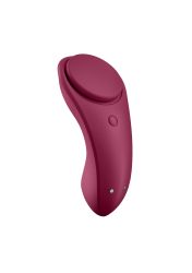 Satisfyer Sexy Secret Bluetooth + App