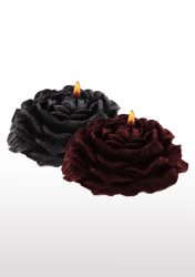 Taboom Rose Japanese Drip Candle 2pcs