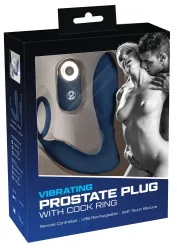 Penisring mit Vibro-Perineumreizer und Vibro-Analplug