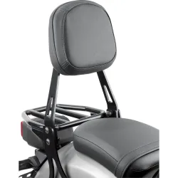 Givi Sissybar mit Träger schwarz TS1160B für CMX 500 Rebel PC56 - Motorradteile & Ersatzteile - Anbauteile
