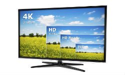 Fernseher