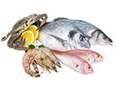 Fisch