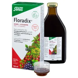 Floradix Eisen + Vitamine Profit Pack (700ml)