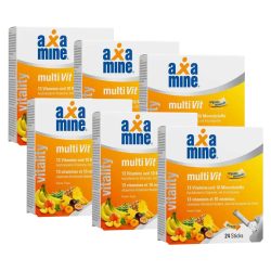 Axamine MultiVit Sticks 6x 24 Stück