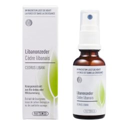 Phytomed Knospenextrakt Libanonzeder 30 ml