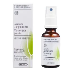 Phytomed Knospenextrakt Jungfernrebe, japanisch 30 ml
