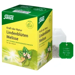 Salus Tee Lindenblüten Melisse Bio Beutel 15 Stück