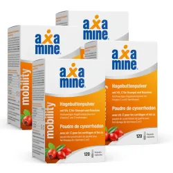 Axamine Hagebuttenpulver Kapseln 4x 120 Stück