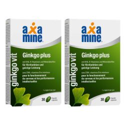Axamine ginkgoVit Ginkgo plus 2x 30 Kapseln