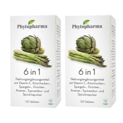 Aktion: Phytopharma 6in1 Tabletten 2x 120 Stück