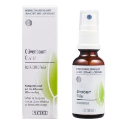 Phytomed Knospenextrakt Olivenbaum 30 ml