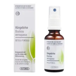 Phytomed Knospenextrakt Hängebirke 30 ml
