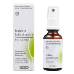 Phytomed Knospenextrakt Feldahorn 30 ml