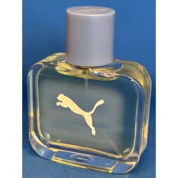 Puma Flowing Eau De Toilette Spray 40 ml
