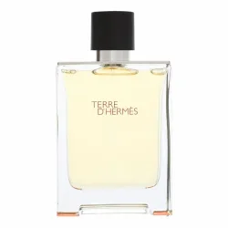 Hermes Terre D' Eau De Toilette Spray 100 ml