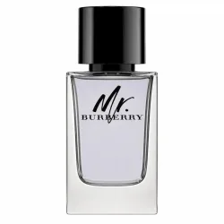 Burberry Mr  Eau De Toilette Spray 100 ml