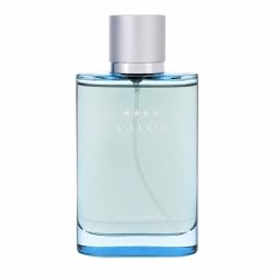 Valor by Dana Eau de Toilette Spray 100 ml