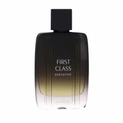 Aigner First Class Executive by Etienne Aigner Eau de Toilette Spray 100 ml