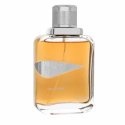Sapil Rave by Sapil Eau de Parfum Spray 100 ml